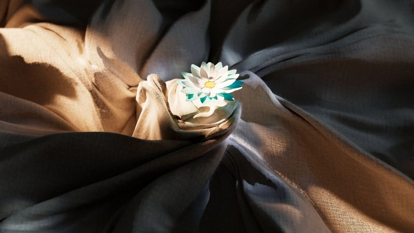 Cloth
